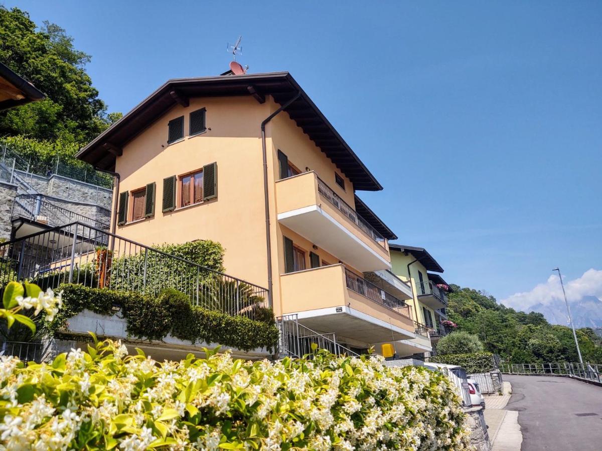 Apartment Alba E Robinia-1 By Interhome Gera Lario Zewnętrze zdjęcie